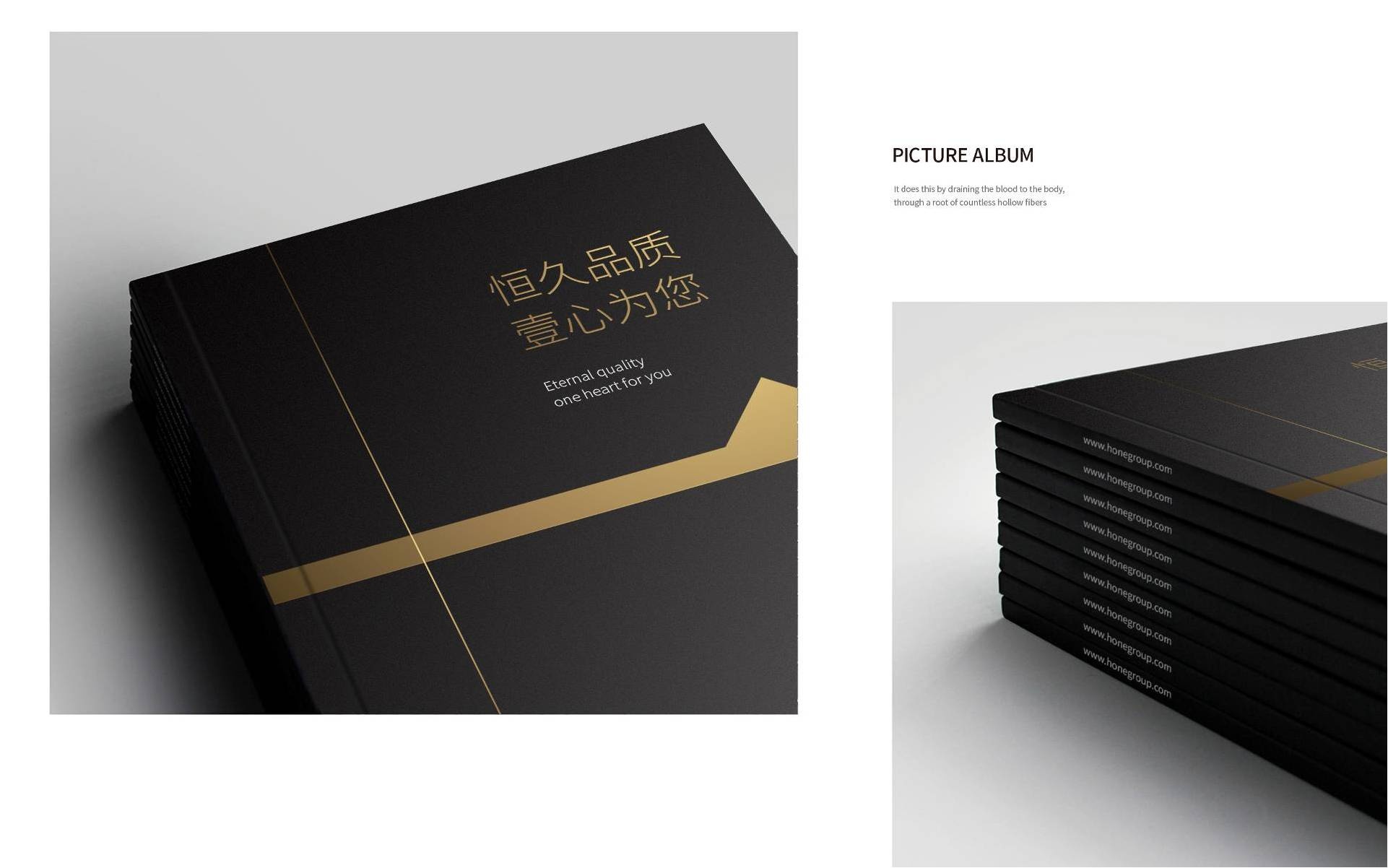 1581139103921433.jpg 66.jpg